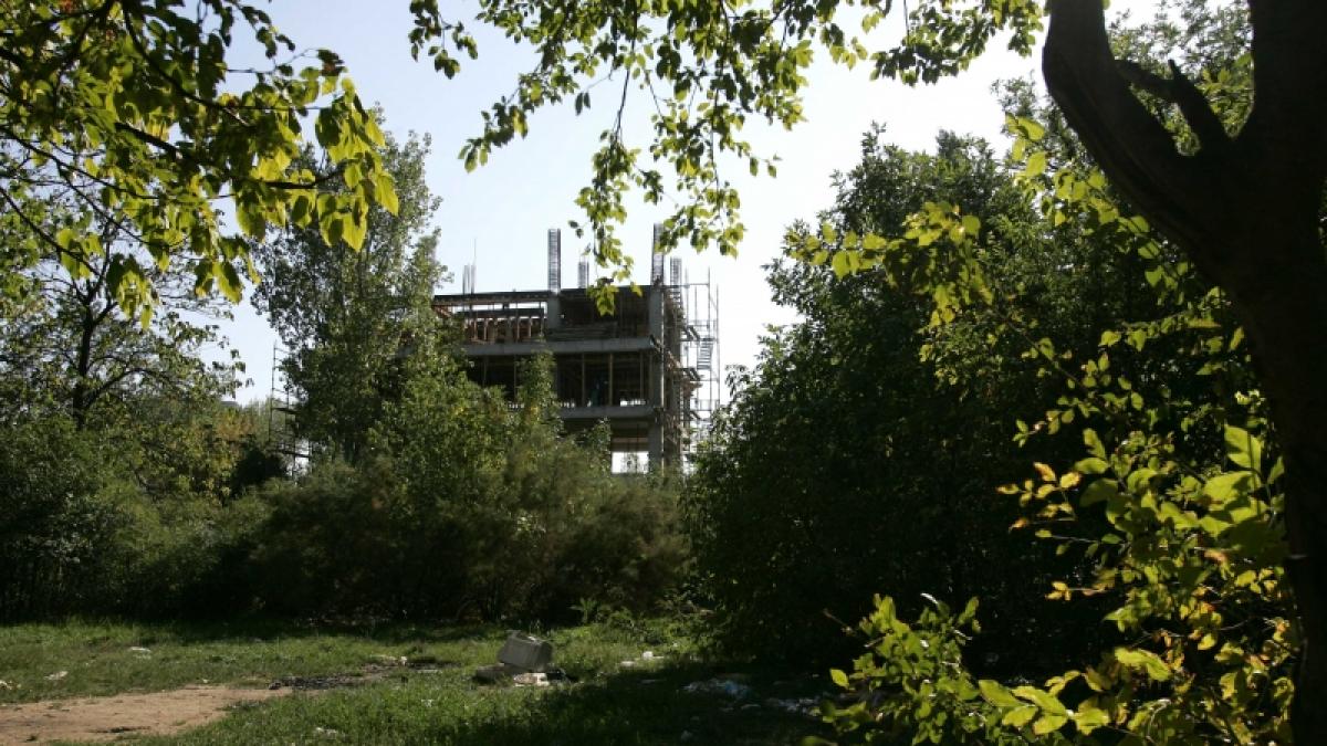Spaţiile verzi, în atenţia P.E.