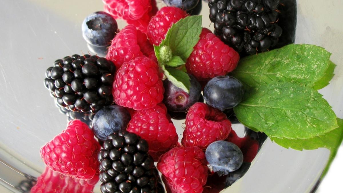 Vitamine din mure şi afine