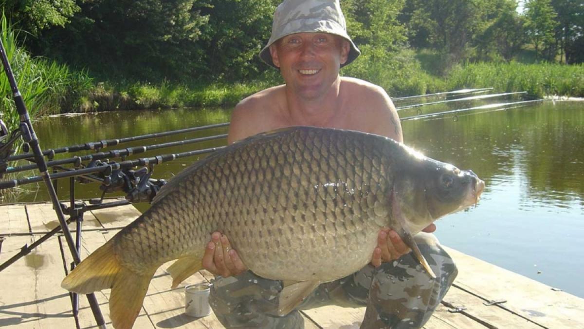 Are balta peşte - Garcea îşi bagă coada