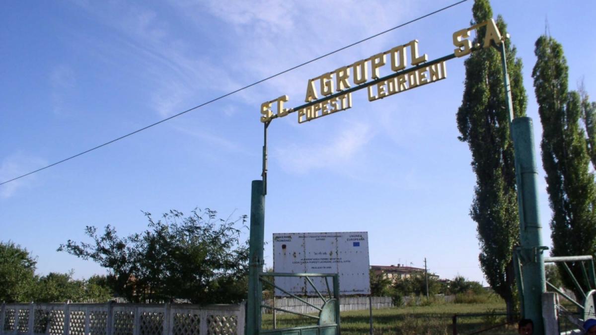 Pensionari de miliarde