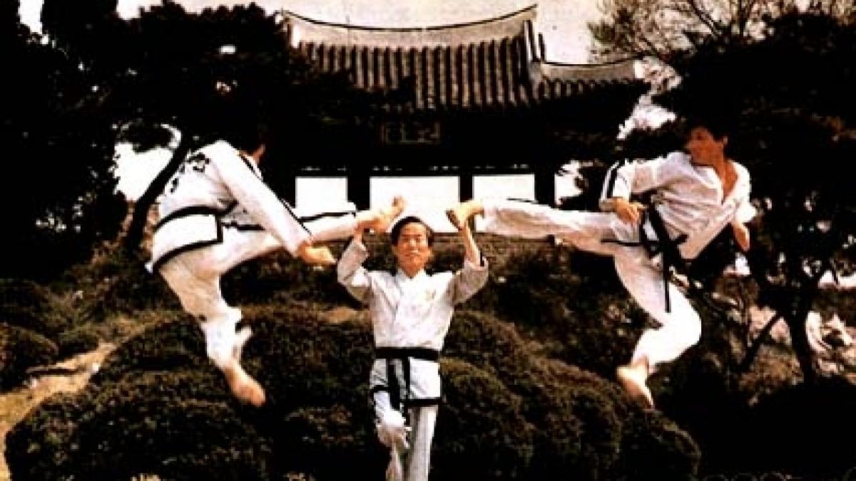 Coreea de Sud / Karateka, spion, asasin