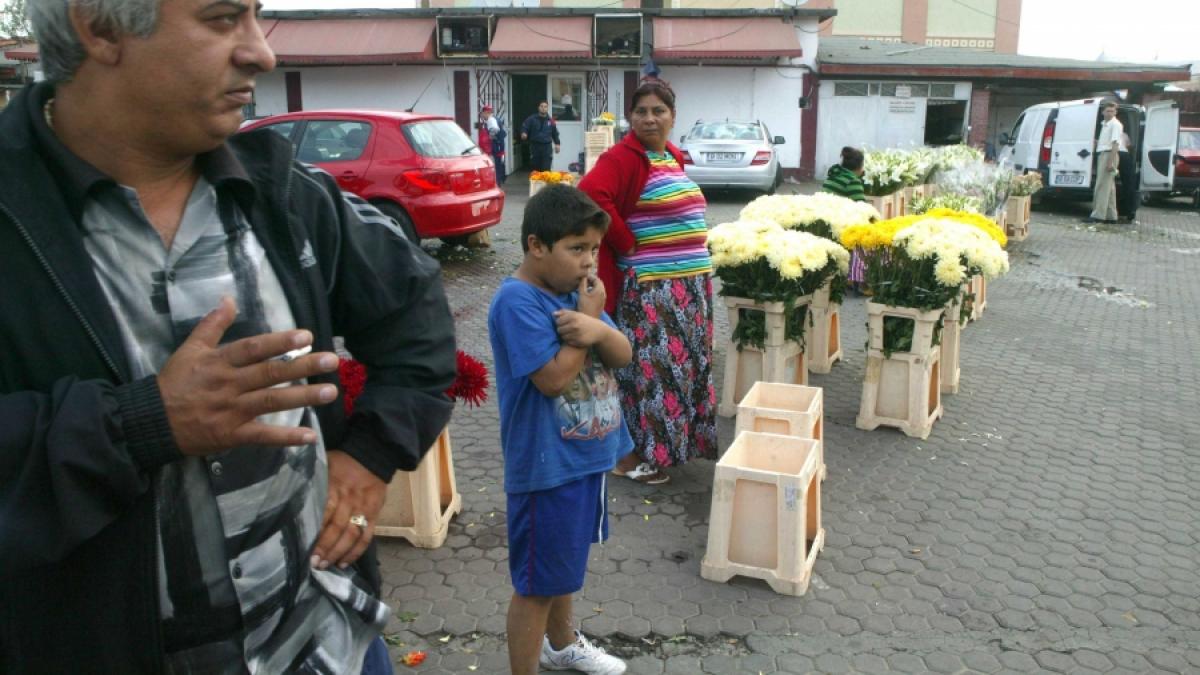 AFACERE PROSPERĂ - Omerta florilor de zeci de milioane de euro