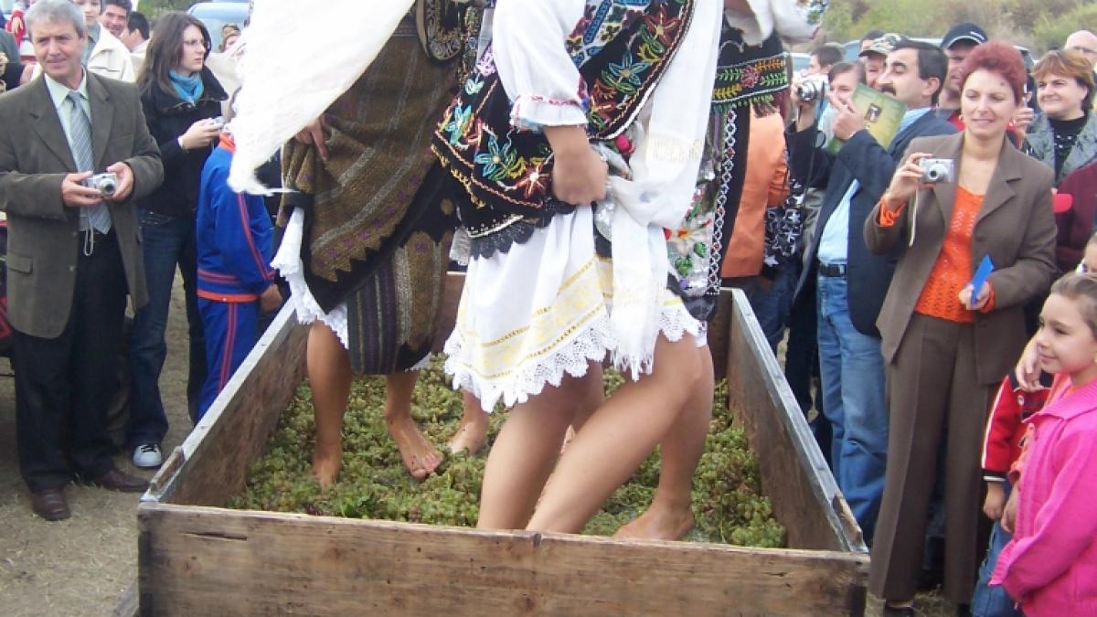 BOGĂŢIE - Sărbătoarea vinului