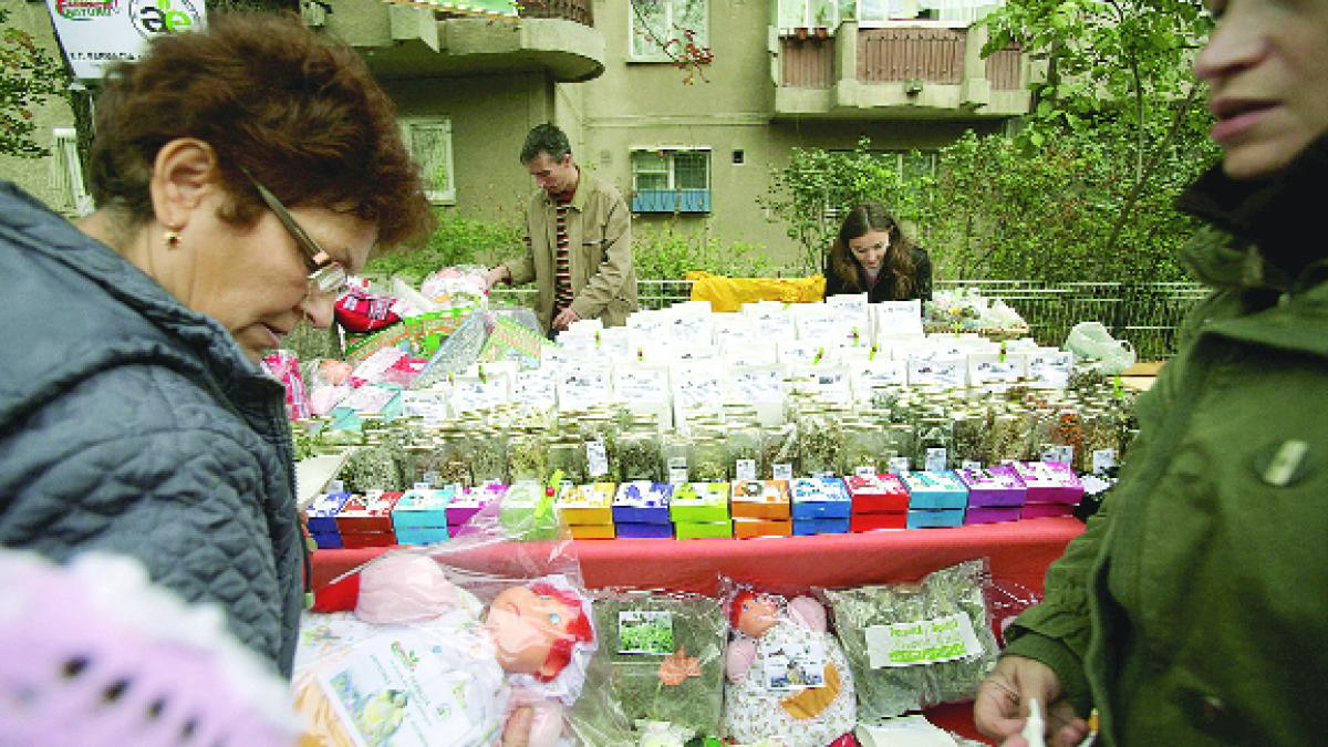 Produse eco pentru copii, părinţi şi bunici
