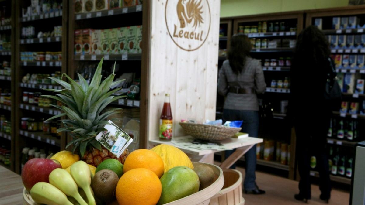 OFERT&Acirc; - Fructe ecologice la Leacul