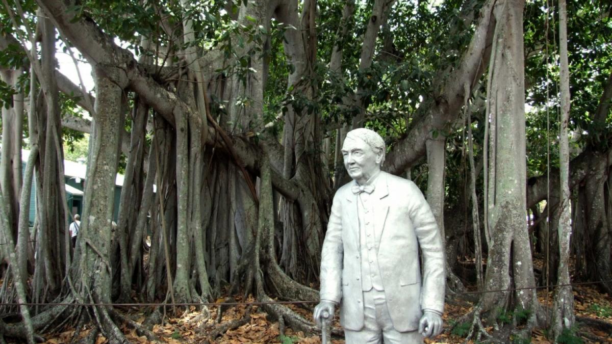 Edison: Omul care a dat ochi luminii 