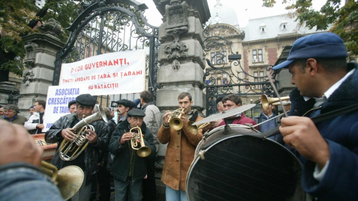 FLAGRANT - Mafia fondurilor europene fură banii ţăranilor