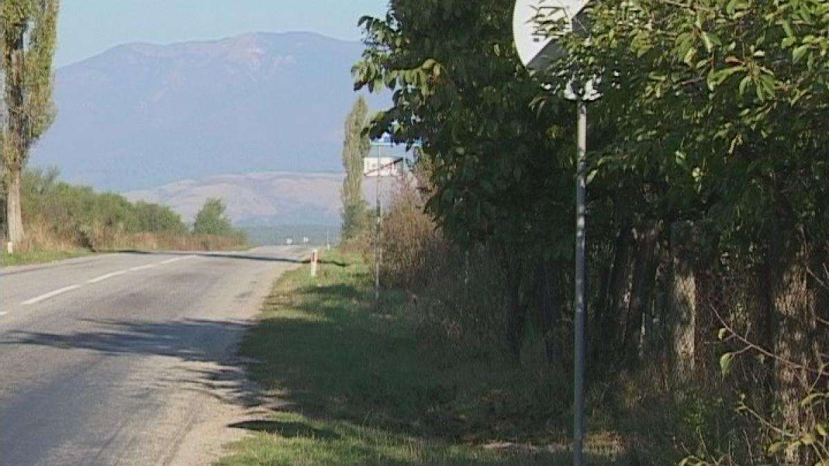 INDICATOR &Icirc;N COPAC  -  Leuştean stă să pice frunzele