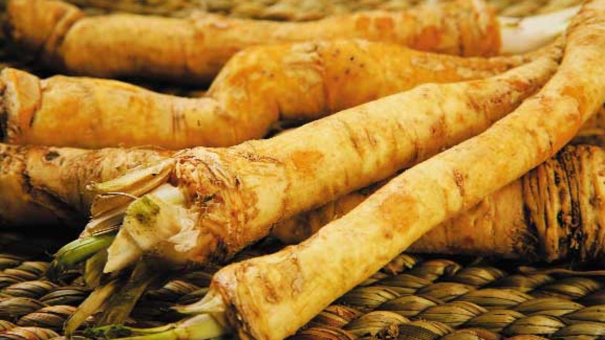DIGESTIE - Poftă bună cu hrean!