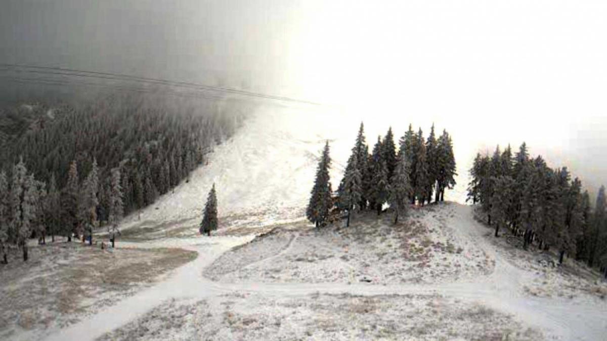 La munte a venit zăpada. Ninge slab şi viscolit