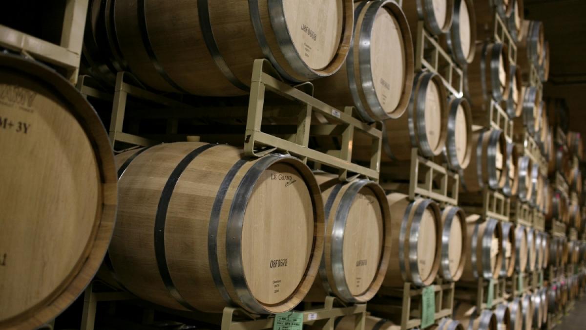 VIN DIN STRUGURI ECO/"Lumea Nouă" ia cu asalt piaţa mondială