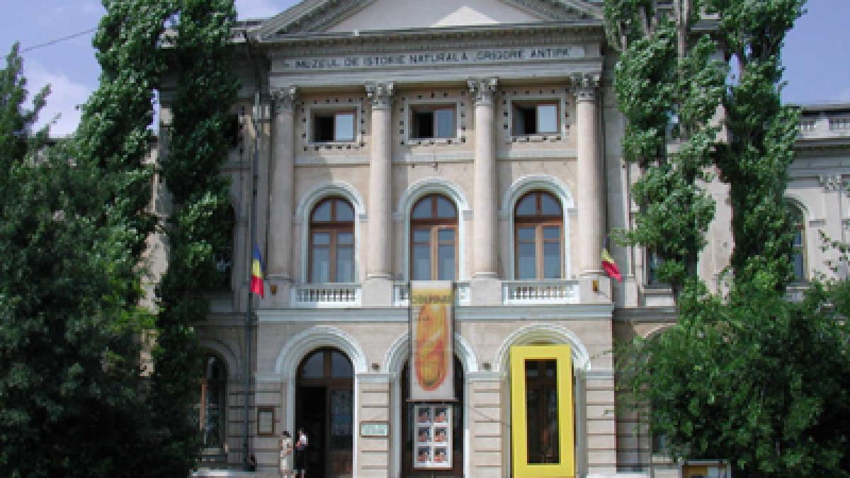 Muzeul Antipa se închide pentru un an