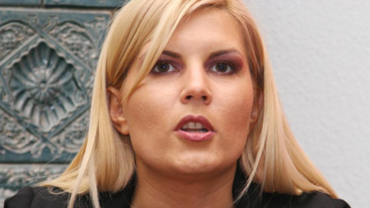 Elena Udrea: Să facem turismul un contributor la buget şi un creator de locuri de muncă 
