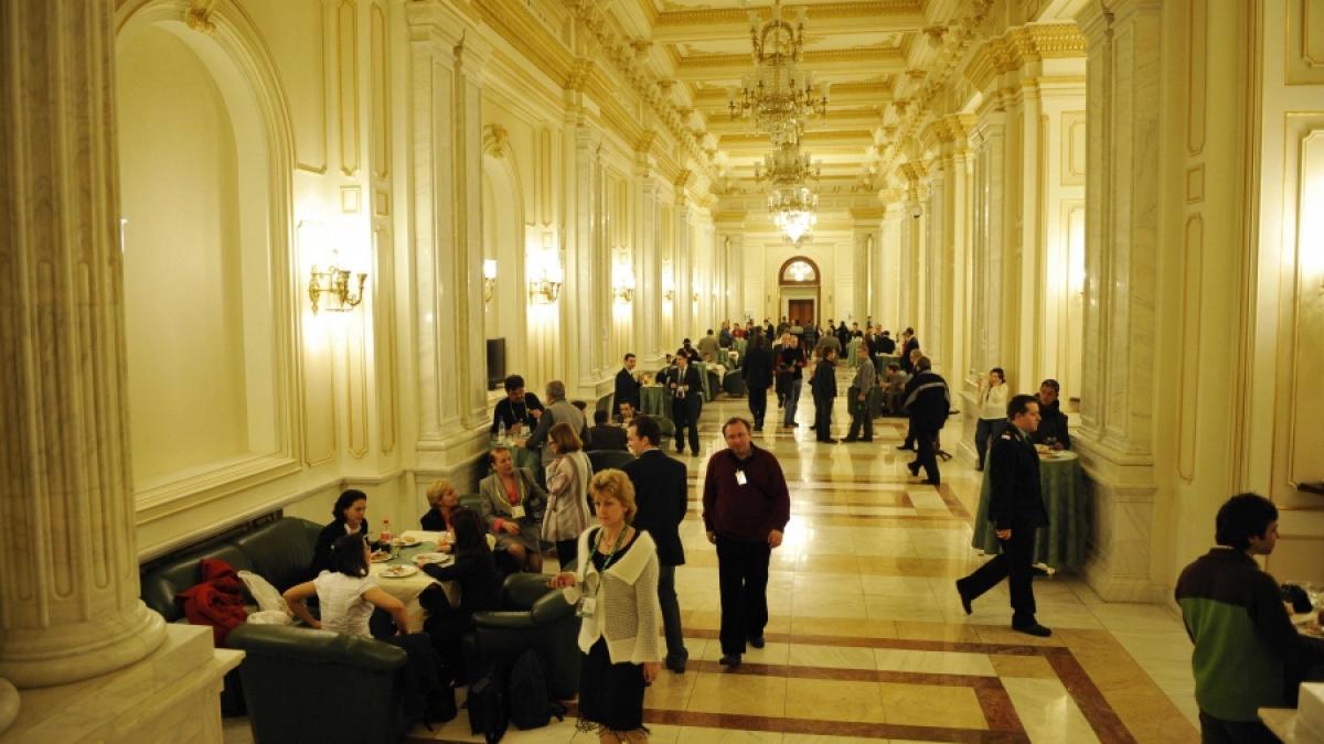 "Parlamentul Verde", un proiect PSD trecut la PD-L / Sulfina, &laquo;ecologista&raquo;