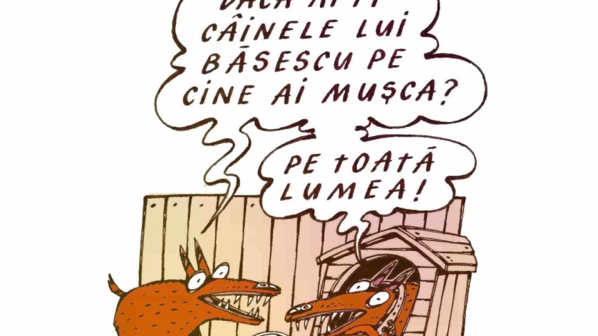Şi totuşi exportăm ceva! Răfuieli interne