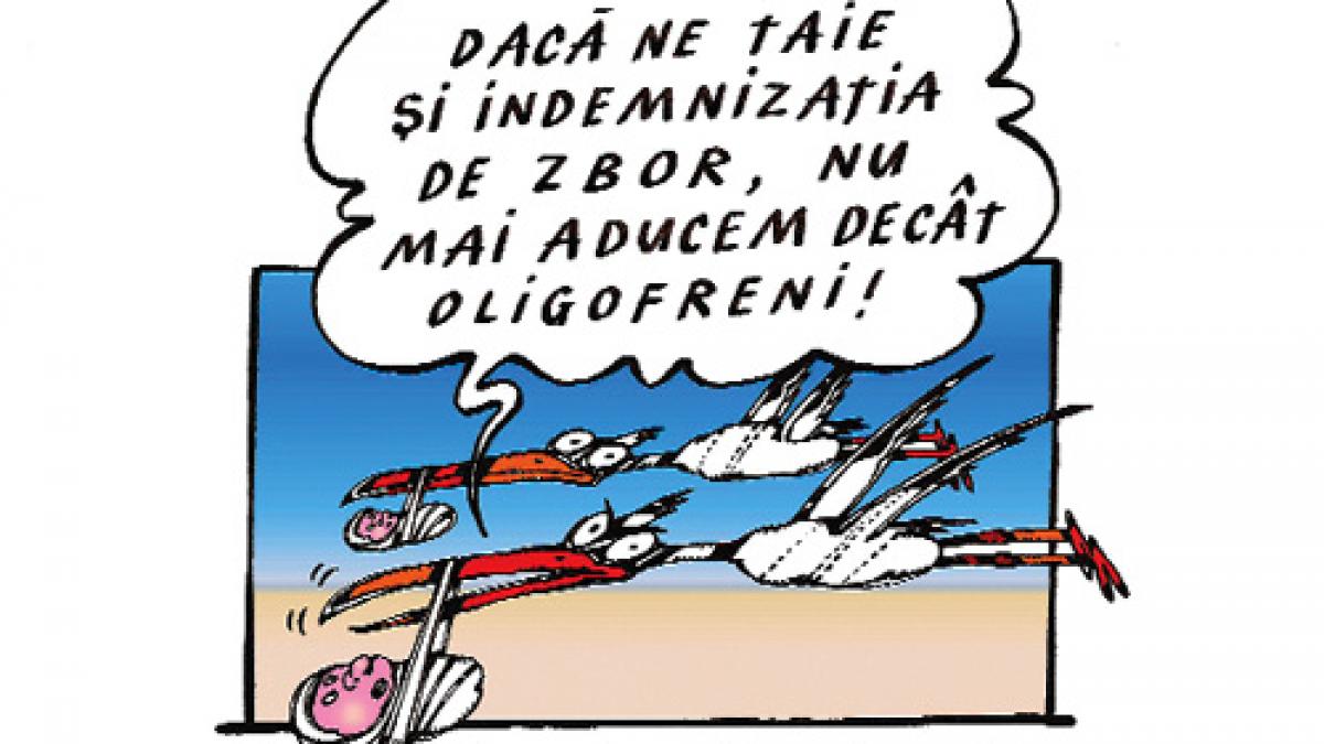 Criză de soluţii pentru criza economică