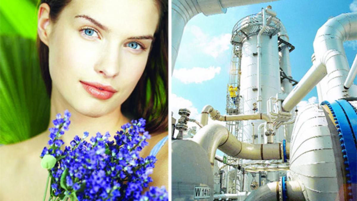 La întrecere cu laboratorul naturii