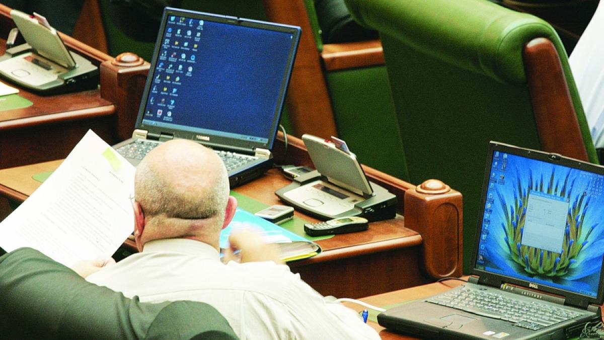 SOLUŢII DE CRIZĂ/Senatorul-internet de diaspora