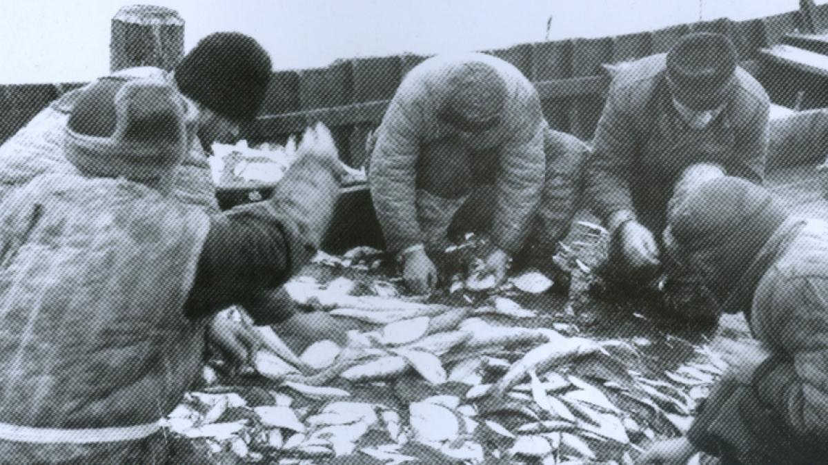 Memoria pământului – Dobrogea care a fost