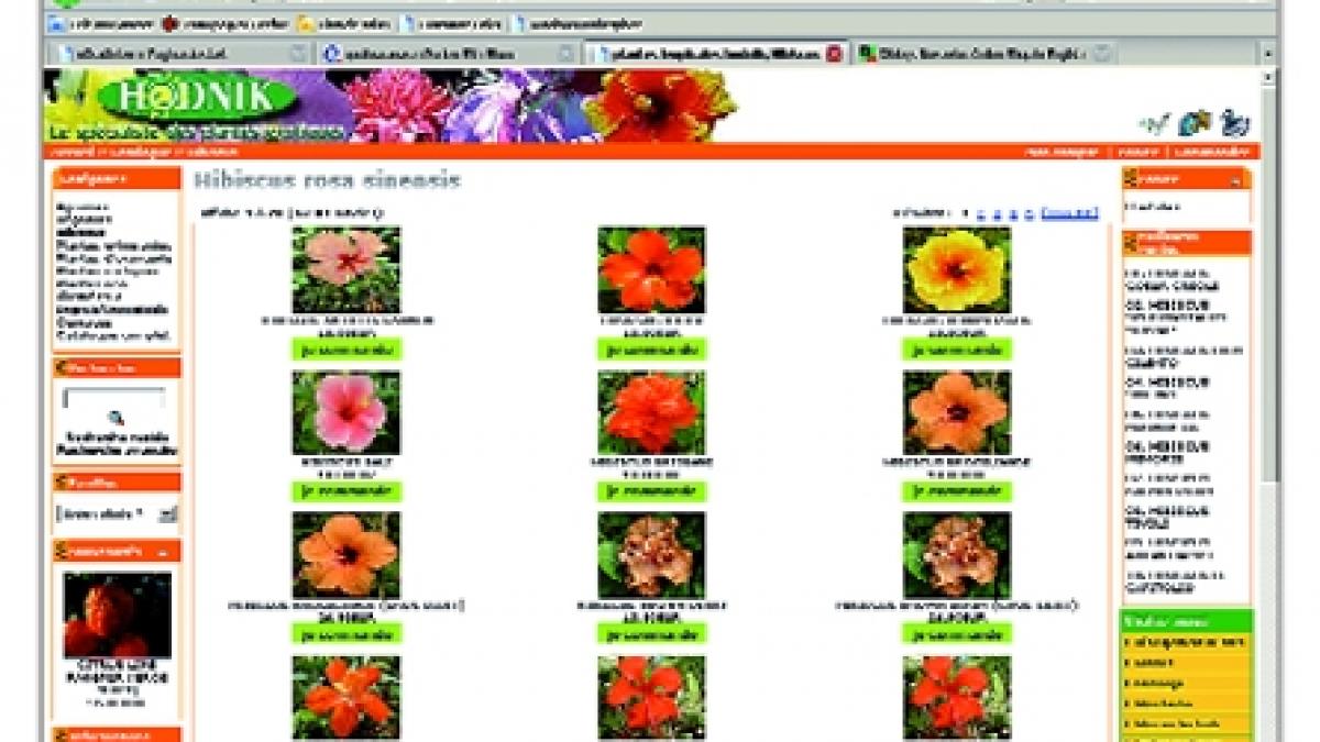 Magazine online pentru amatorii de plante rare sau varietăţi spectaculoase