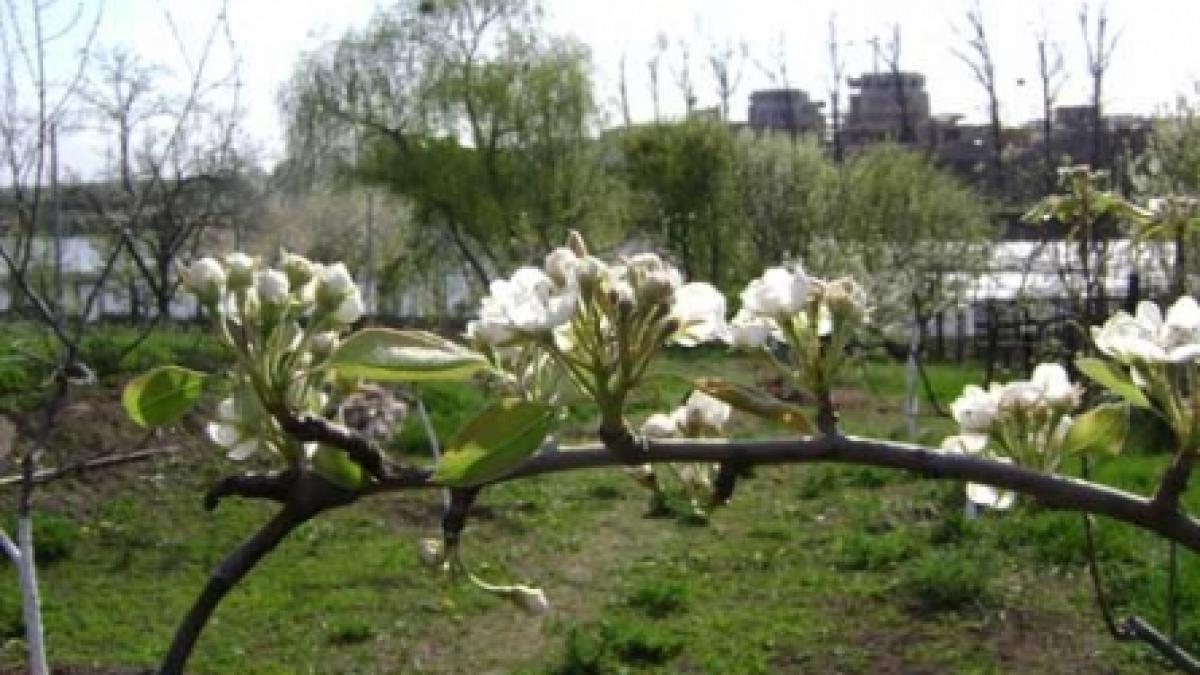 Prognoză meteo pe trei luni