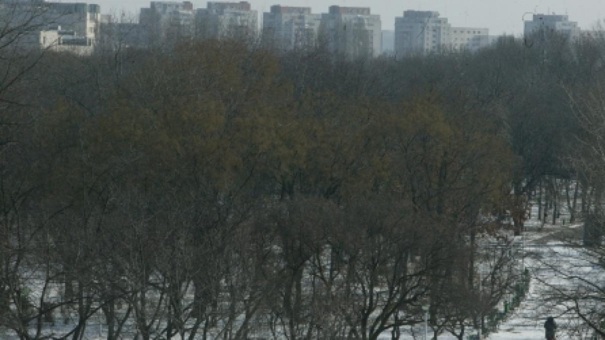 Vile de fiţe cu gazon în Parcul Tineretului