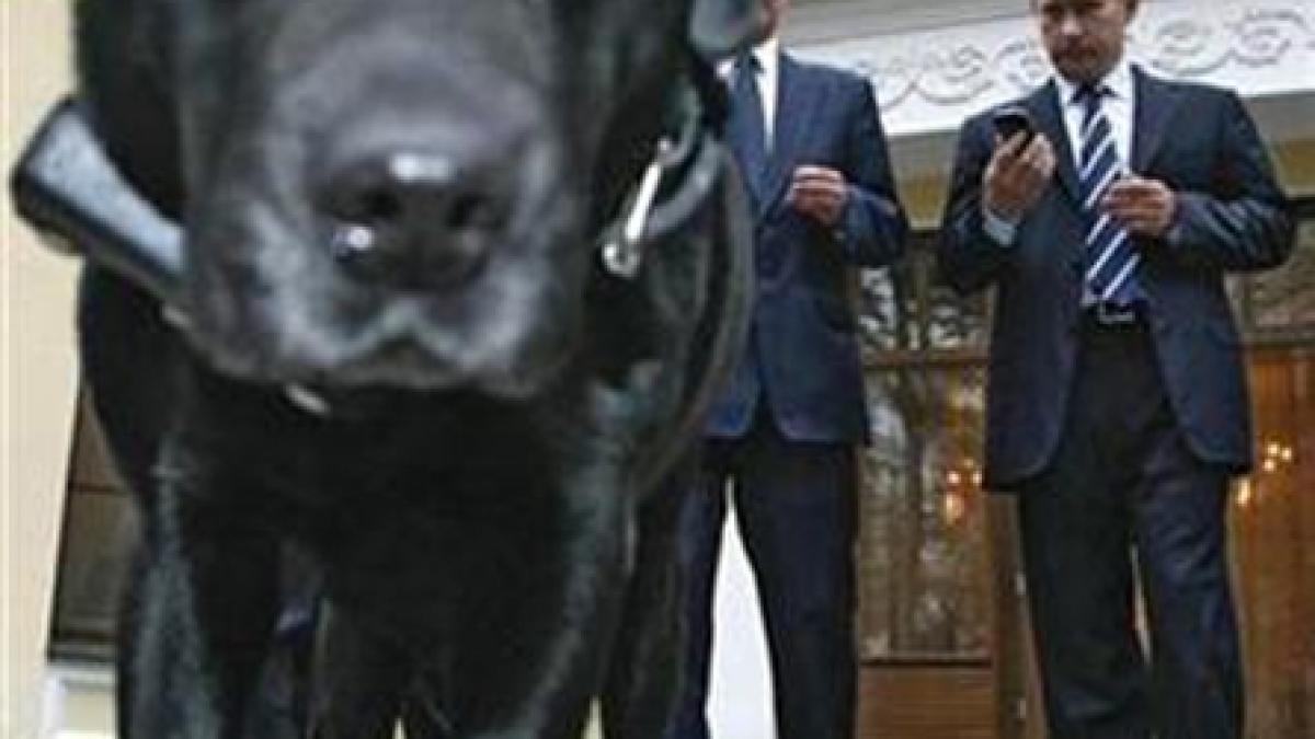 Koni a hăpăit mâncarea lui Putin