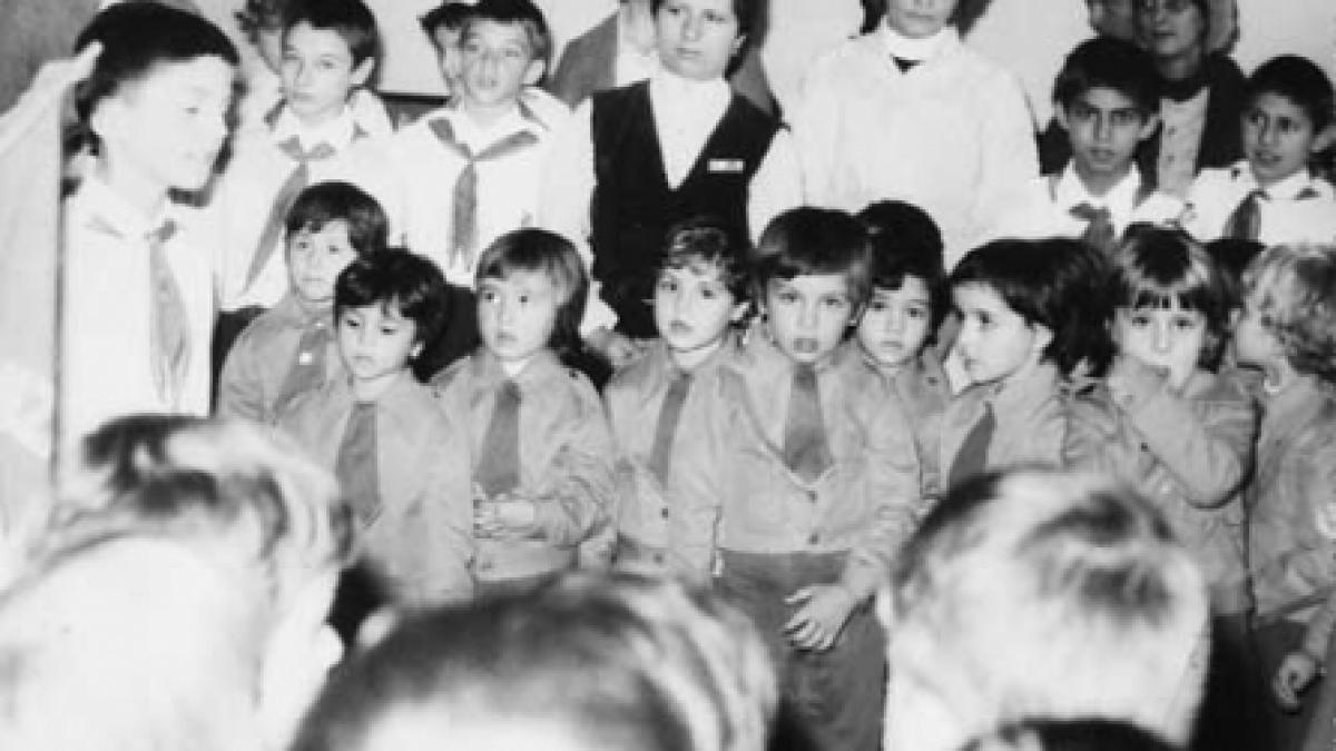 Fabrica de şoimi