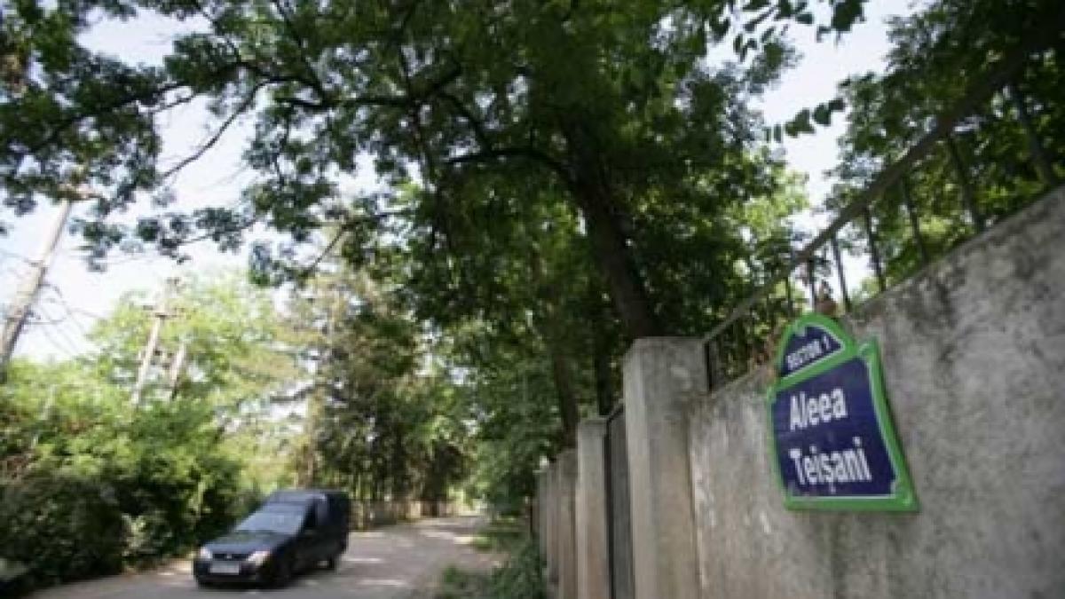 La marginea Pădurii Băneasa cresc vile