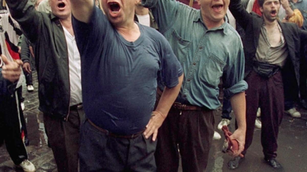 Totul a pornit de la o pereche de pâslari