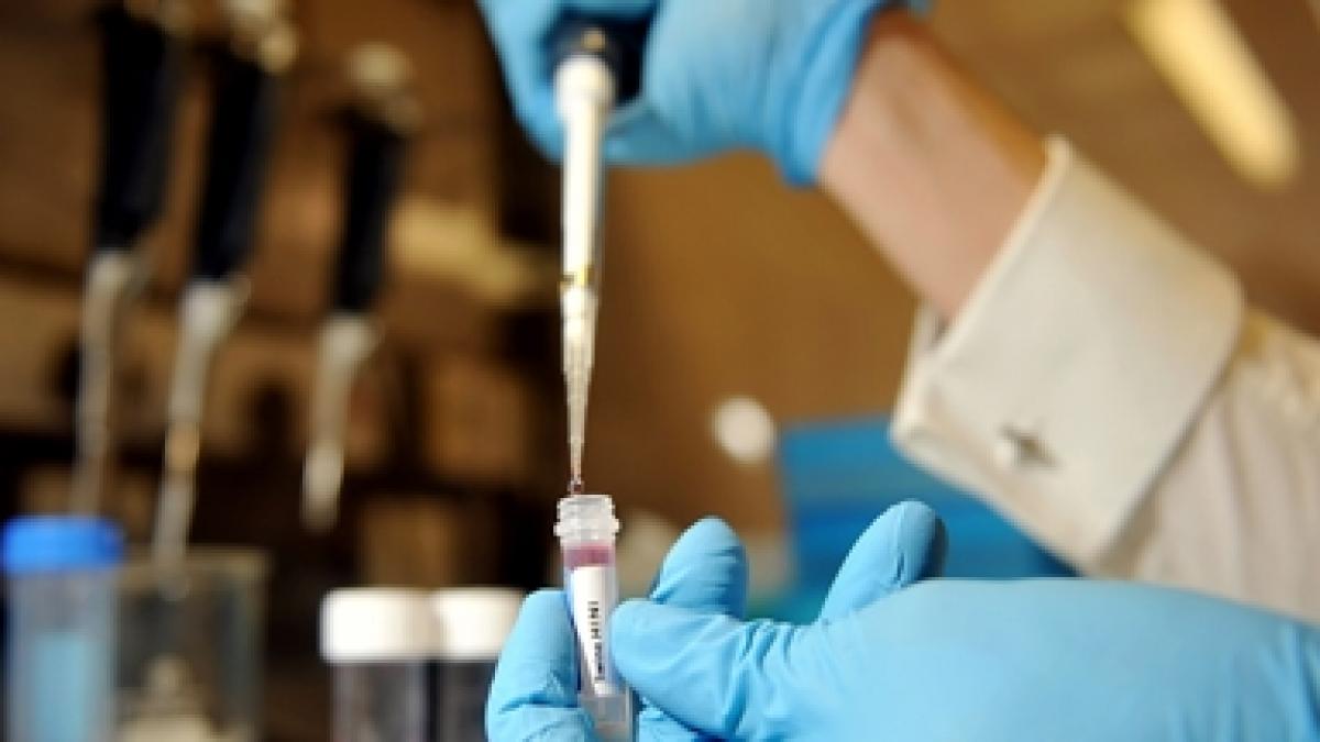 Pericol global: găina care guiţă