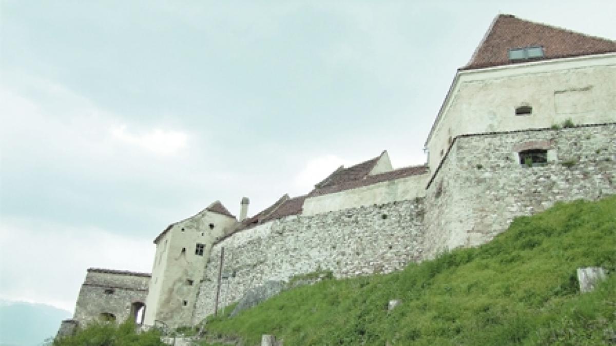 Privind în Poiana Rozelor
