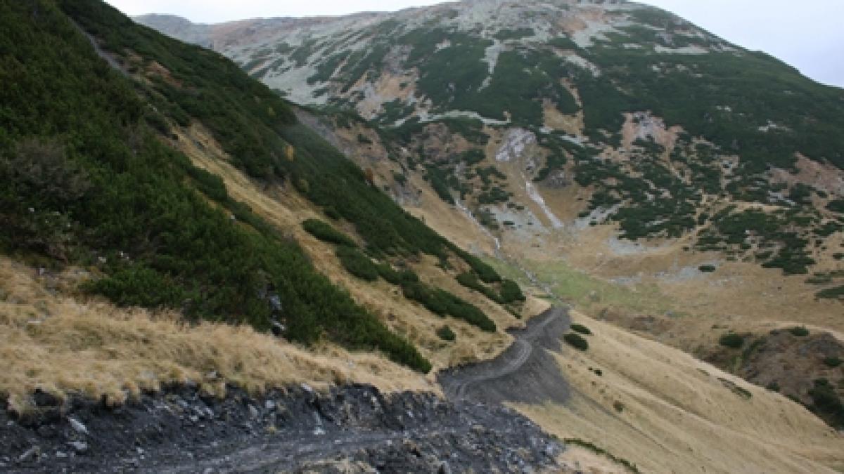 Drumuri ilegale spre caprele negre în Munţii Rodnei