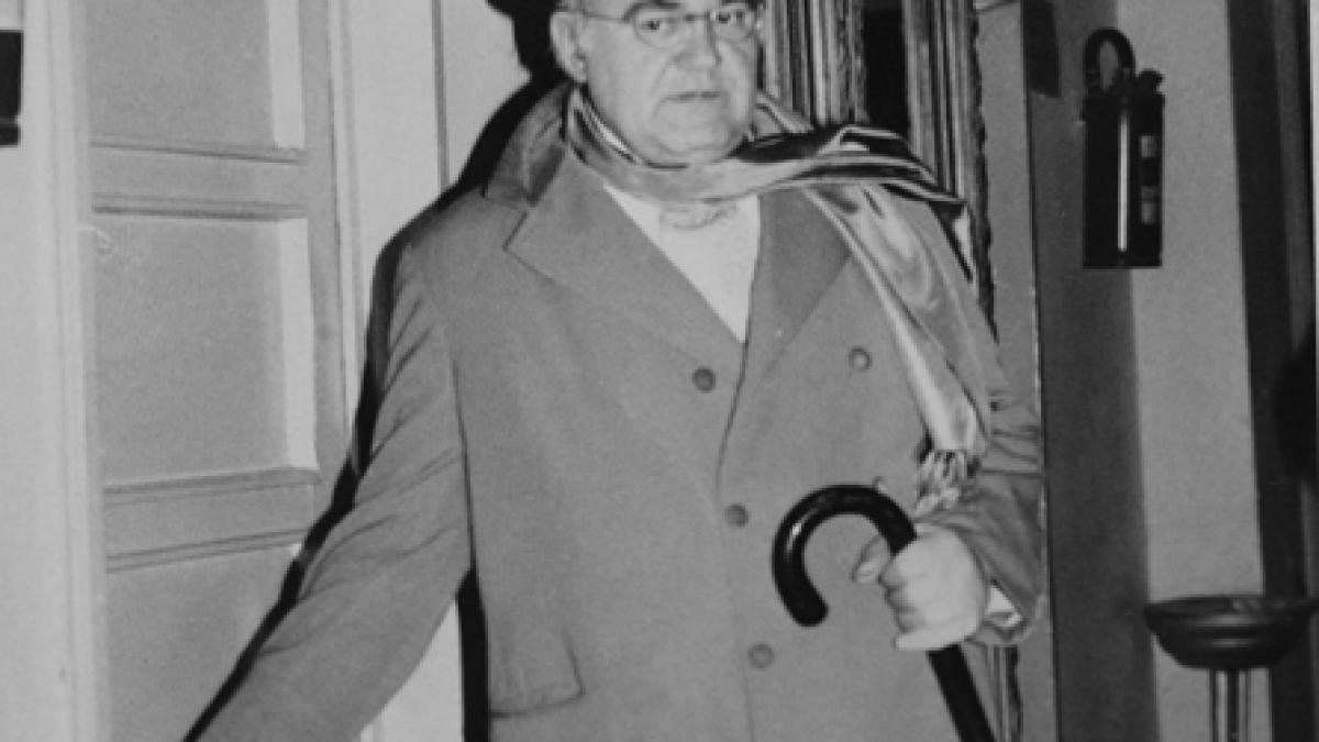 Maestru de umor