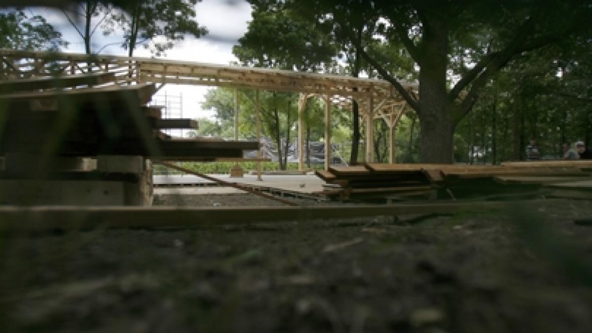 Bamboo în Parcul Herăstrău