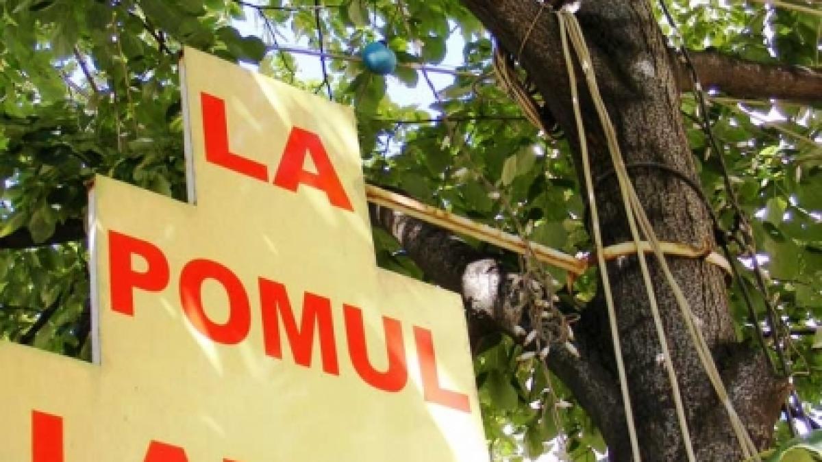 Vanghelie şi Piedone ignoră acţiunile ecologiste