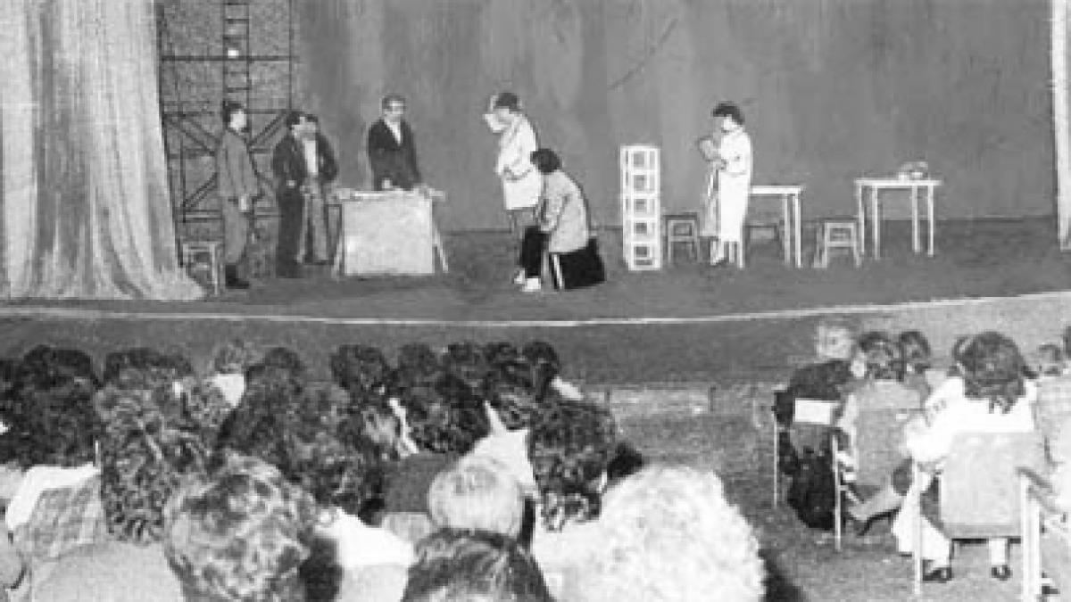Autofinanţarea culturii: Teatrul, între matricole şi răţoi de vată
