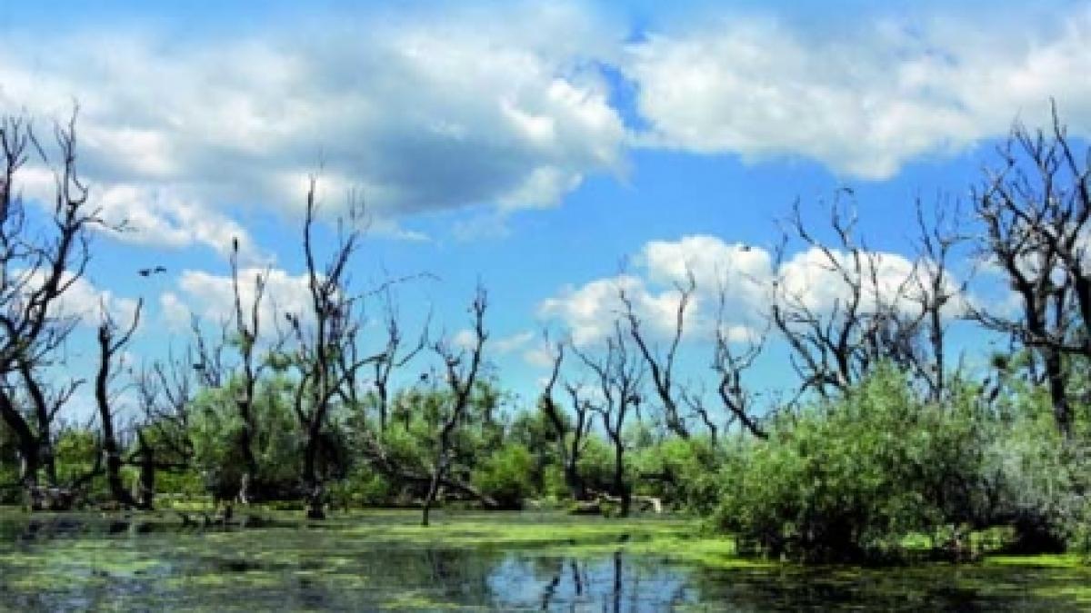 Paradisul de ape şi viaţă de la vărsarea Dunării