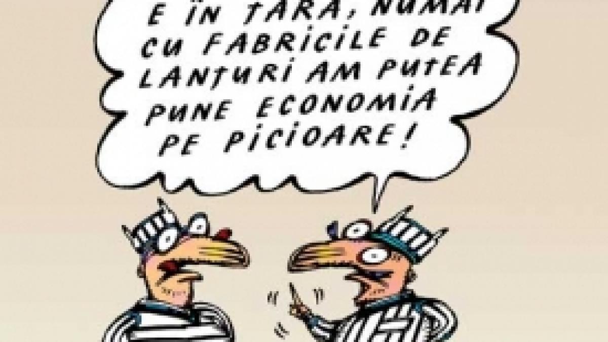 De la Bruxelles la Borşa
