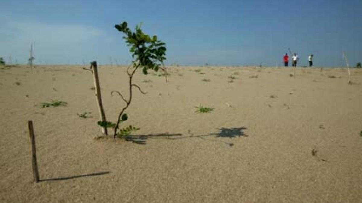 Omul care a adus ploaia în Sahara Olteniei