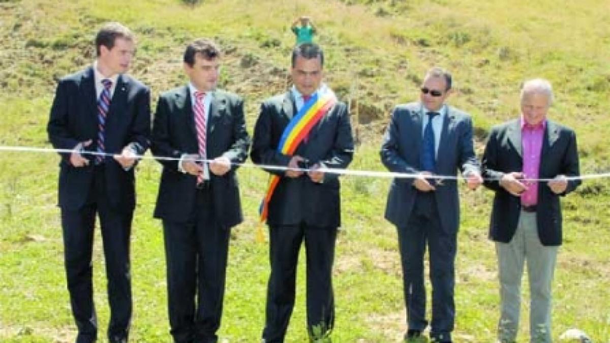 Râşnovul sare tare