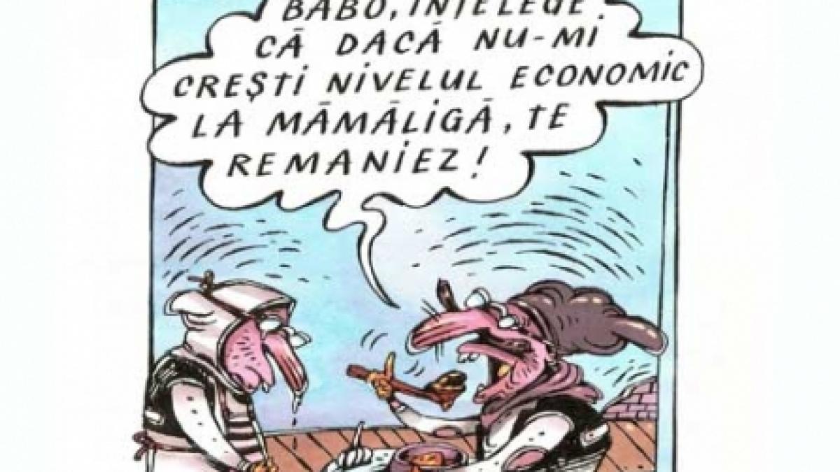 Guvernul Boc şi pârţul fondator