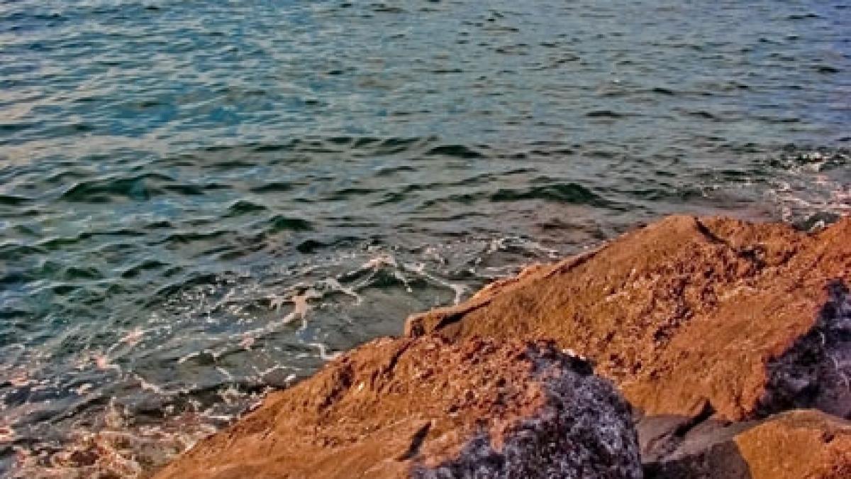 Şapte minuni ale naturii