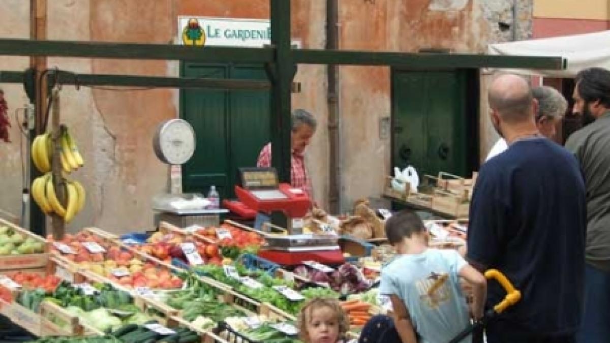 Recomandările din ghidul Codex