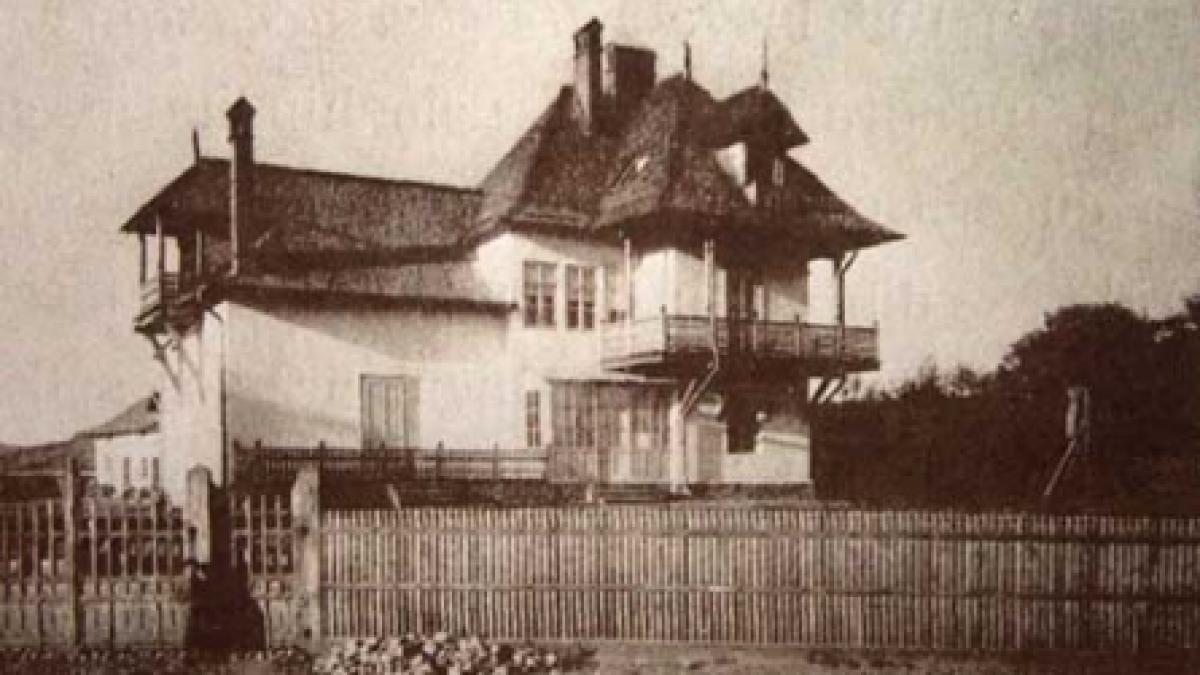 Marele Nicolae Grigorescu, "Robinsonul din Câmpina"