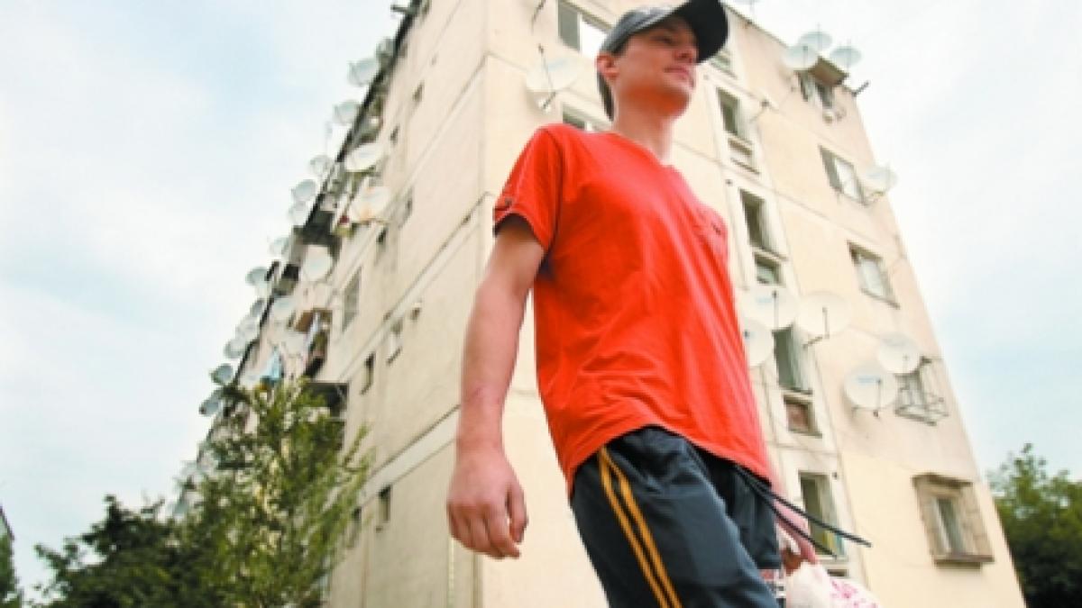 Program de seară: ciomăgitul în cap