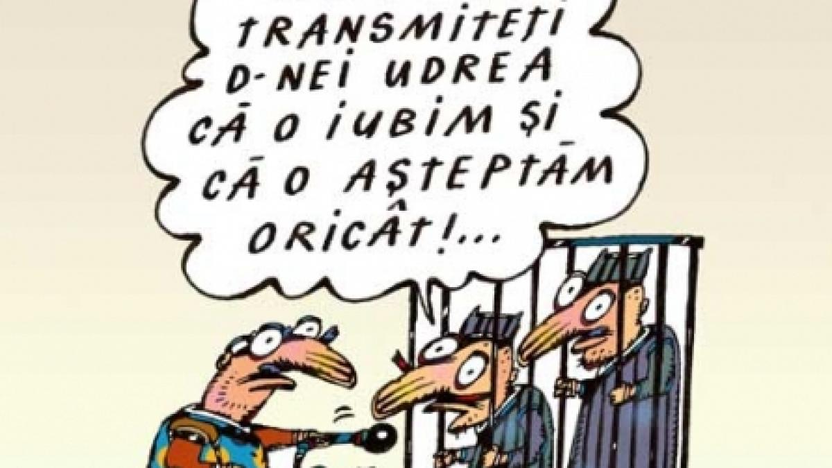 Organul perfect