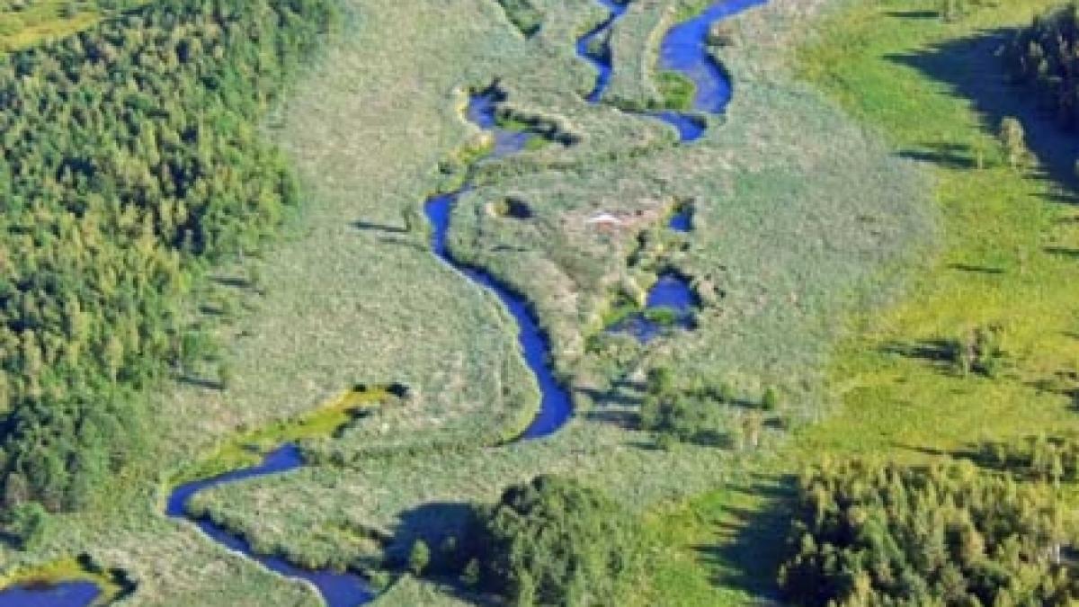 Proiecte dăunătoare mediului anulate de criză