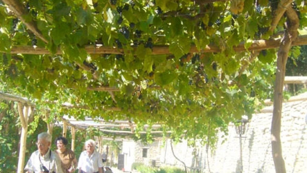 Să descoperim Balcicul la început de septembrie