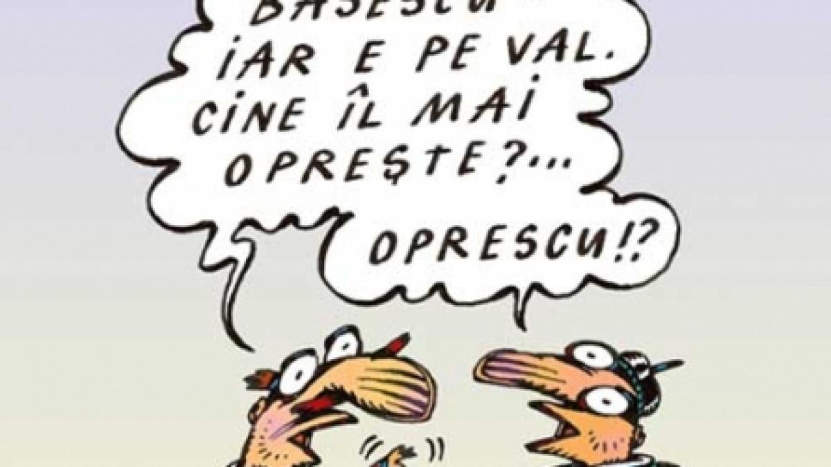 Chestii, socoteli